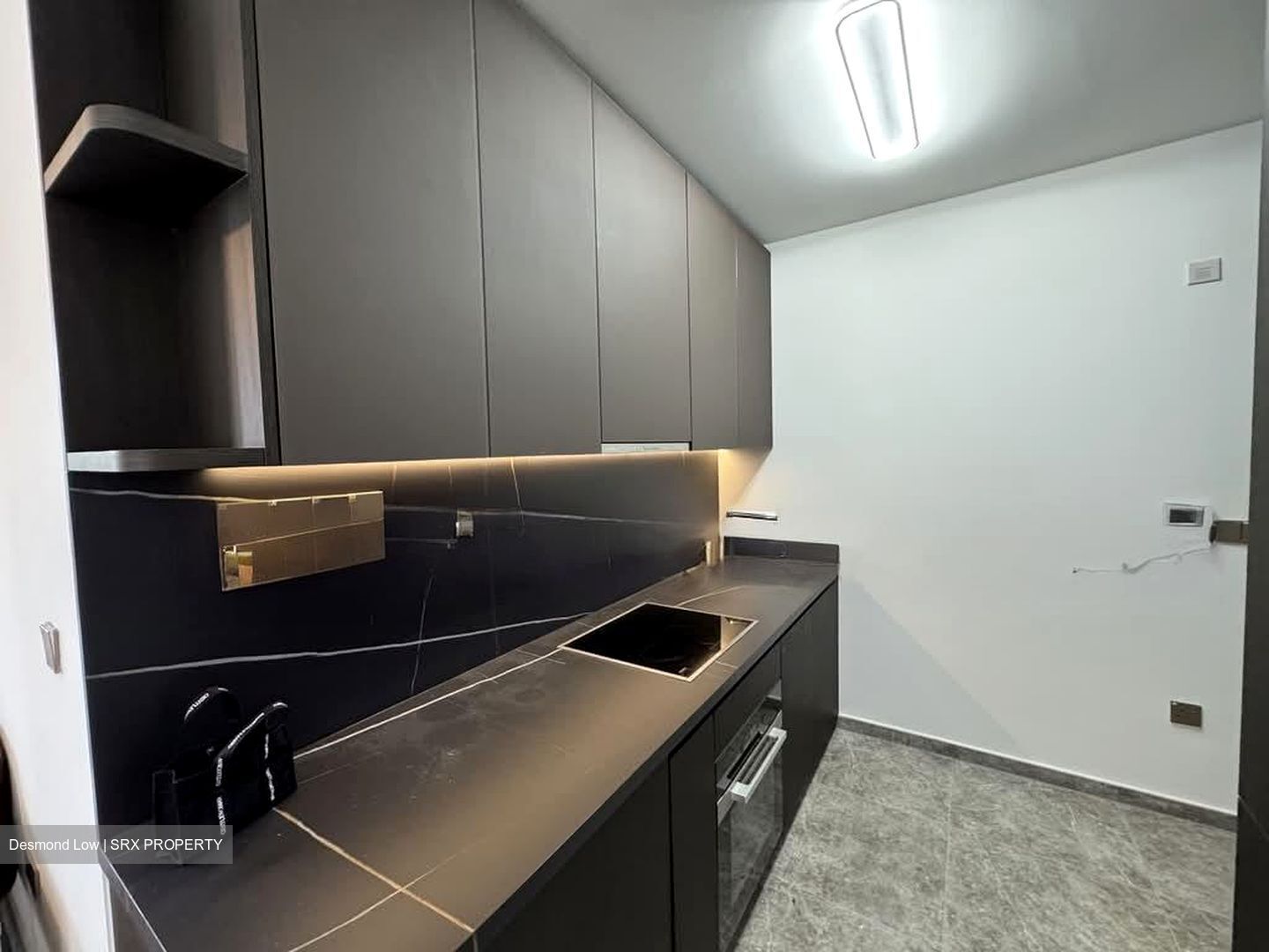 Hyll On Holland (D10), Condominium #543791771